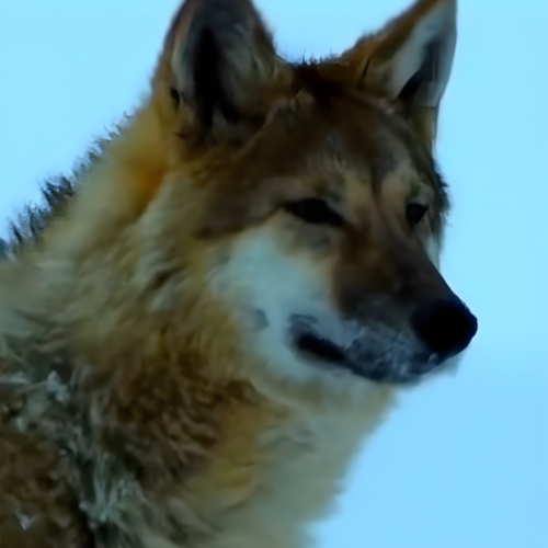 Wolf King Green image 3